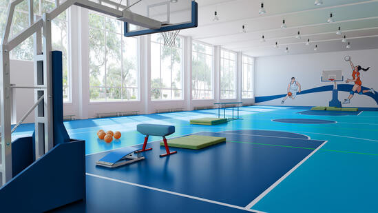Tarkett Omnisports 65 Tarkett Omnisports 65 в Екатеринбурге